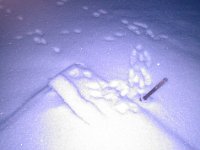 2014-01-18 07-55-20 1390061993